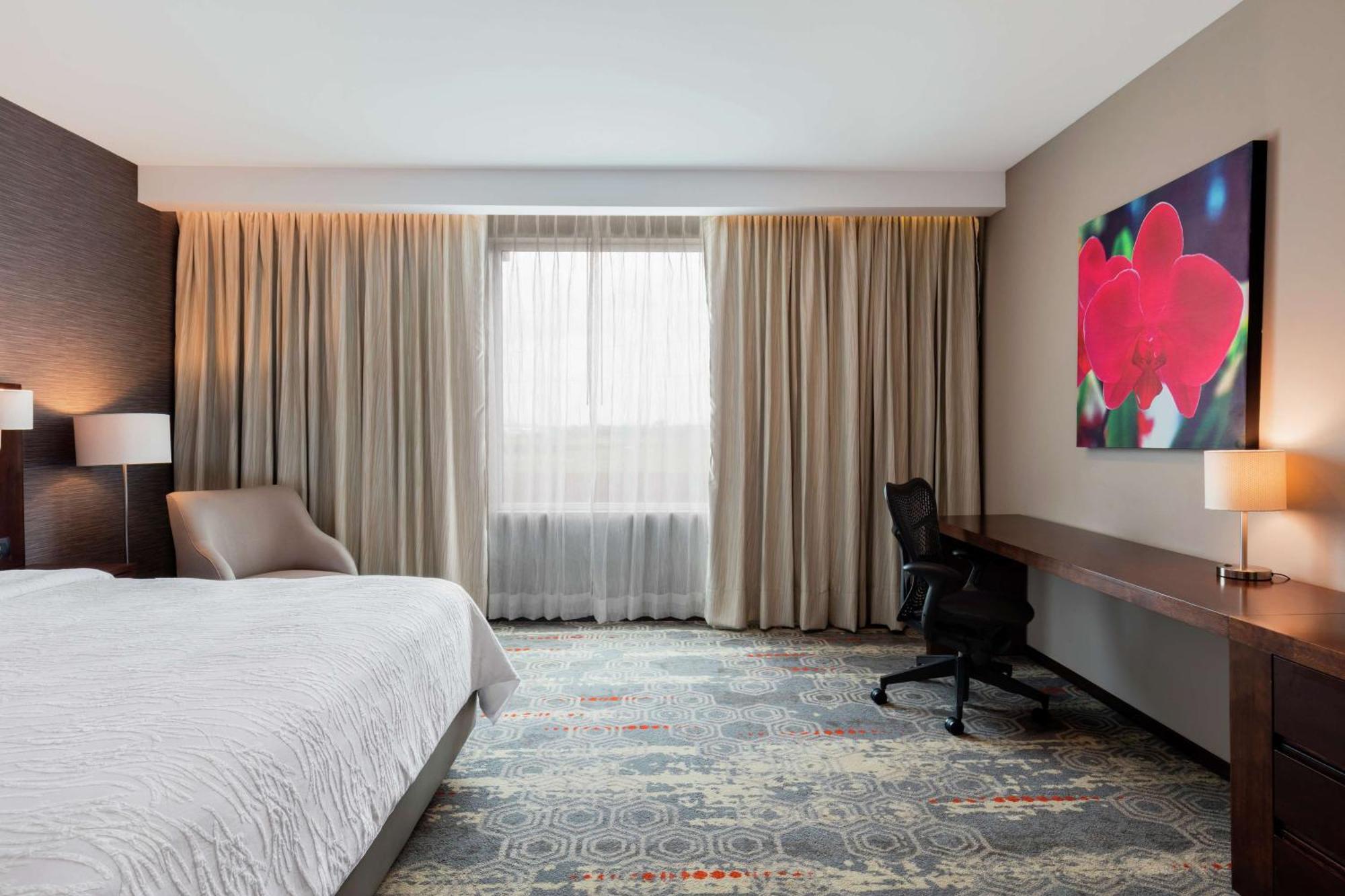 Hilton Garden Inn Salamanca Ngoại thất bức ảnh